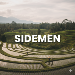 Bali_or_Bust Sidemen