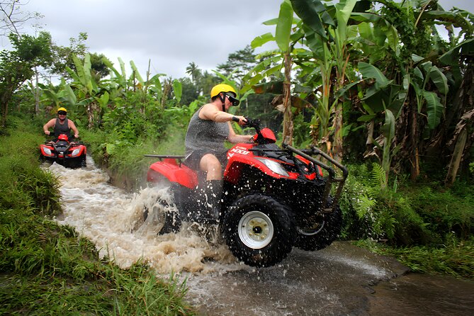 Bali or Bust ATV